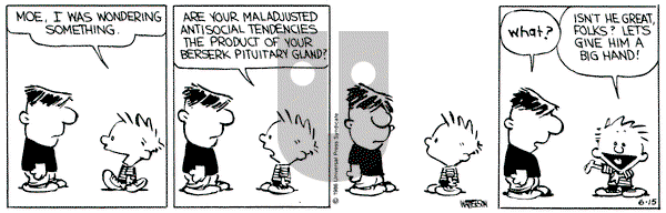 Calvin and Hobbes on Saturday June 15, 1991 Comic Strip