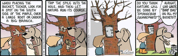 DeFlocked on Tuesday March 20, 2012 Comic Strip