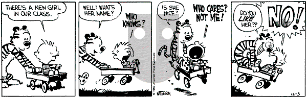 Calvin and Hobbes - Tuesday December 3, 1985 Comic Strip
