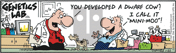 Frank and Ernest on Tuesday January 22, 2013 Comic Strip