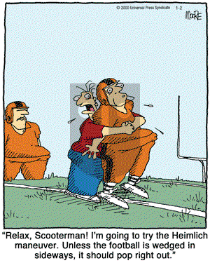 In the Bleachers on Saturday January 3, 2009 Comic Strip