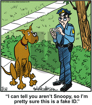 Marmaduke on Monday August 30, 2021 Comic Strip