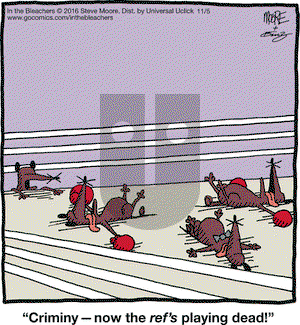 In the Bleachers on Saturday November 5, 2016 Comic Strip