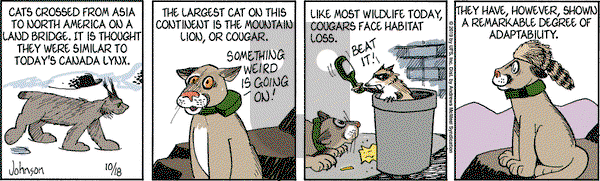 Arlo and Janis on Friday October 18, 2019 Comic Strip
