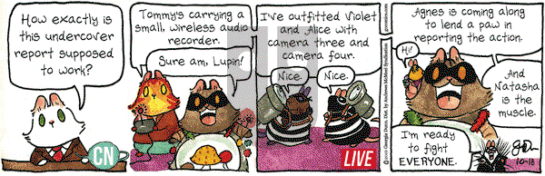 Breaking Cat News on Friday October 18, 2019 Comic Strip