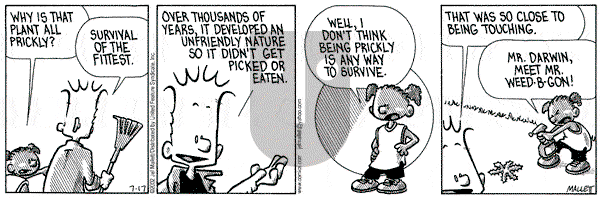 Frazz on Wednesday July 17, 2002 Comic Strip