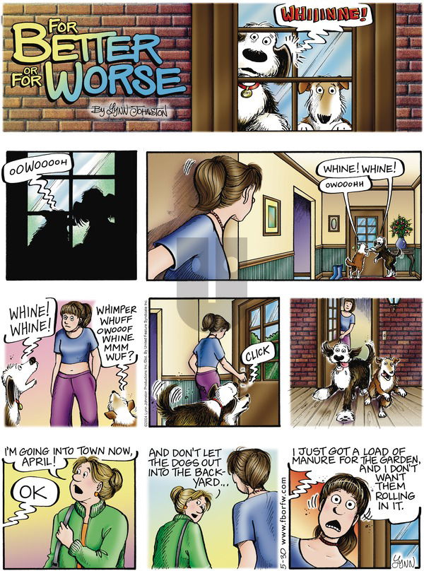 For Better or For Worse on Sunday May 30, 2004 Comic Strip