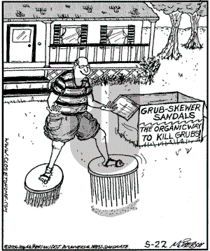 Close to Home on Monday May 22, 2006 Comic Strip
