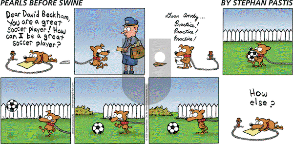 Pearls Before Swine on Sunday August 10, 2008 Comic Strip