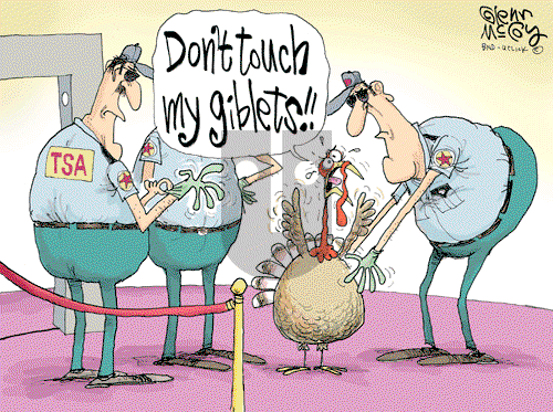 Glenn McCoy on Thursday November 25, 2010 Comic Strip