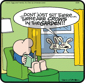 Ziggy on Friday June 26, 2015 Comic Strip