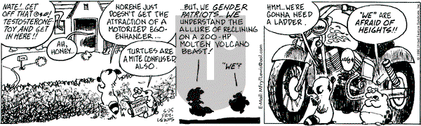 Over the Hedge on Tuesday June 25, 1996 Comic Strip