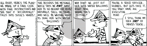 Calvin and Hobbes - Thursday August 5, 1993 Comic Strip