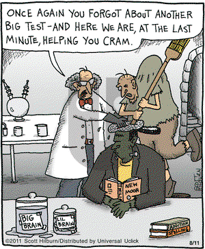 The Argyle Sweater - Thursday August 11, 2011 Comic Strip