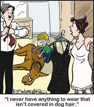 Marmaduke on Saturday August 17, 2019 Comic Strip