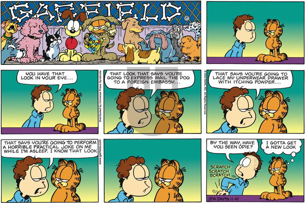 Garfield on Sunday November 10, 2002 Comic Strip