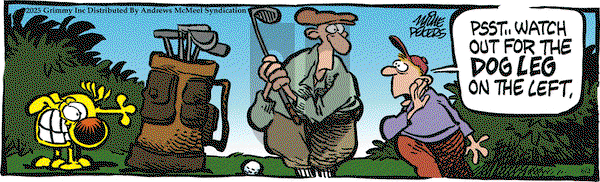 Mother Goose and Grimm on Monday June 2, 2025 Comic Strip
