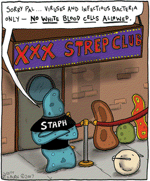 The Argyle Sweater on Tuesday June 12, 2007 Comic Strip