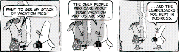 W.T. Duck on Wednesday December 20, 2023 Comic Strip