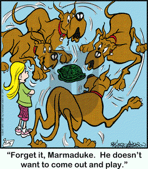 Marmaduke on Wednesday July 15, 2015 Comic Strip