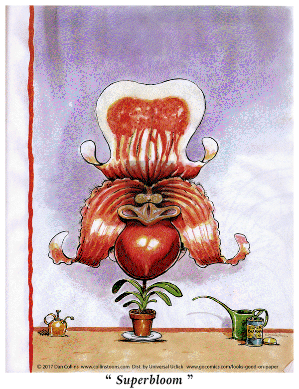 Looks Good on Paper - Tuesday July 30, 2019 Comic Strip