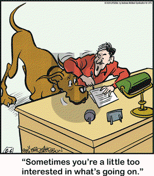 Marmaduke on Thursday February 6, 2020 Comic Strip