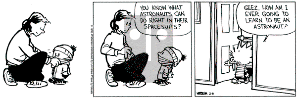 Calvin and Hobbes on Saturday February 6, 1993 Comic Strip