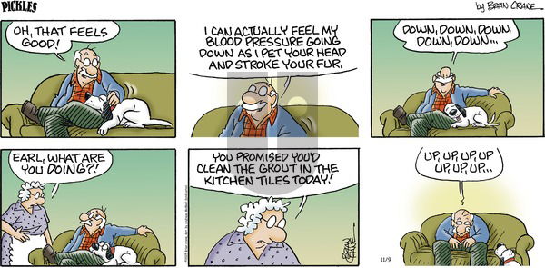 Pickles on Sunday November 9, 2025 Comic Strip