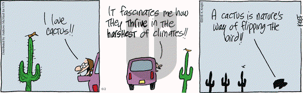 The Knight Life on Saturday June 2, 2018 Comic Strip