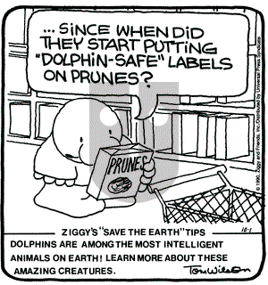 Ziggy on Monday October 1, 1990 Comic Strip