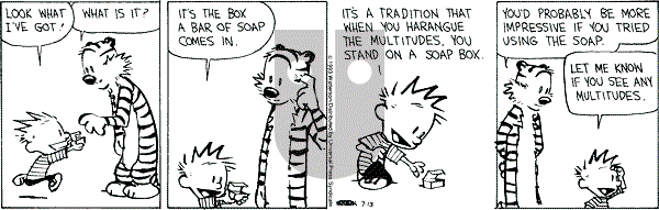 Calvin and Hobbes - Tuesday July 13, 1993 Comic Strip