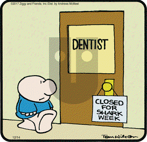 Ziggy on Thursday December 14, 2017 Comic Strip