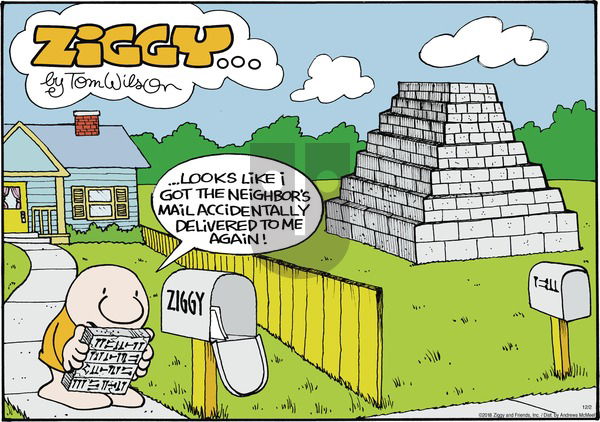 Ziggy on Sunday December 2, 2018 Comic Strip
