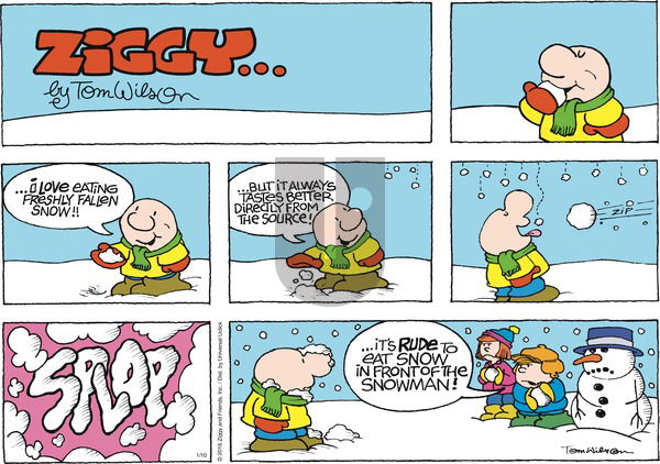 Ziggy on Sunday January 10, 2016 Comic Strip