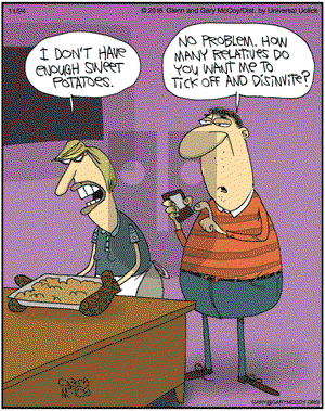The Flying McCoys on Thursday November 24, 2016 Comic Strip