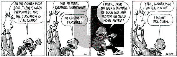 Frazz on Tuesday May 1, 2001 Comic Strip