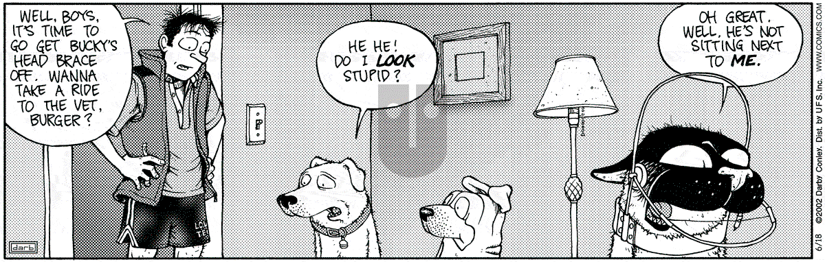 Get Fuzzy - Tuesday June 18, 2002 Comic Strip