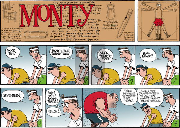 Monty on Sunday November 29, 2015 Comic Strip