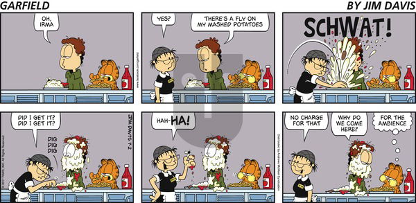 Garfield on Sunday July 2, 2017 Comic Strip