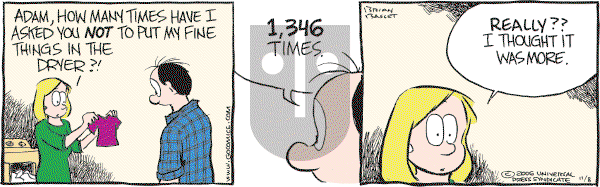 Adam@Home - Wednesday November 8, 2006 Comic Strip