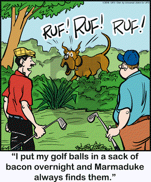 Marmaduke on Saturday June 4, 2016 Comic Strip