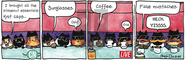 Breaking Cat News on Monday February 24, 2020 Comic Strip