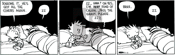 Calvin and Hobbes - Friday November 8, 2013 Comic Strip