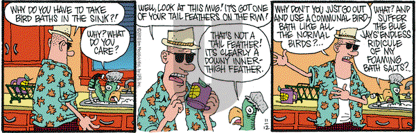 Monty on Friday November 12, 2010 Comic Strip