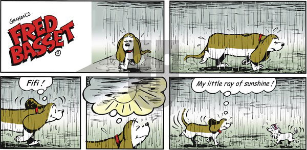 Fred Basset on Sunday February 14, 2016 Comic Strip