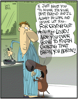 The Flying McCoys on Tuesday May 26, 2020 Comic Strip