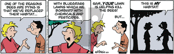 Freshly Squeezed - Friday June 12, 2020 Comic Strip