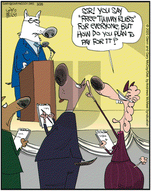 The Flying McCoys on Thursday March 26, 2020 Comic Strip
