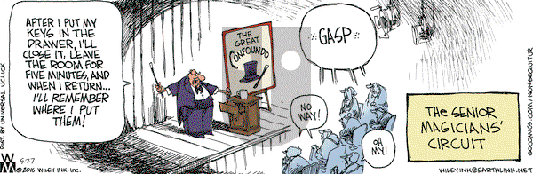 Non Sequitur on Friday May 27, 2016 Comic Strip