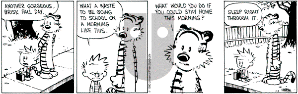 Calvin and Hobbes on Monday November 5, 1990 Comic Strip
